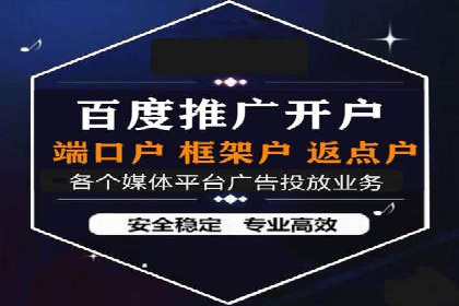 SEM广告投放案例分享：品牌增长秘诀